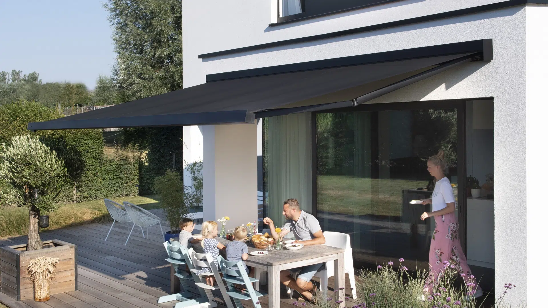 Toldo brazo extensible